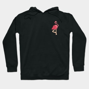 Flamingo Joe Hoodie